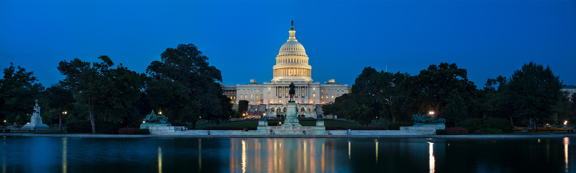 Capitol Panorama